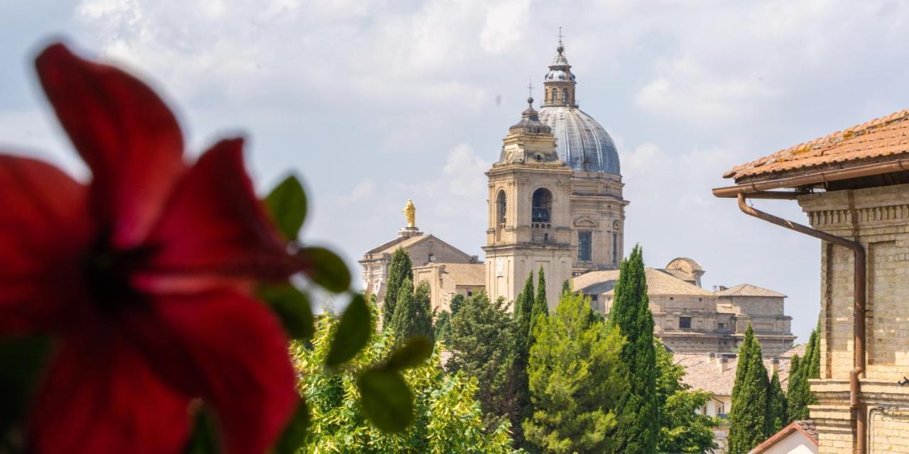4 Hotel Economici Vicino alla Basilica di San Francesco