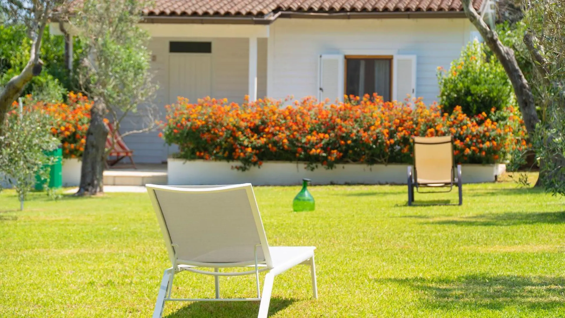Dove Dormire a Porto Badisco: 5 Agriturismo da Conoscere